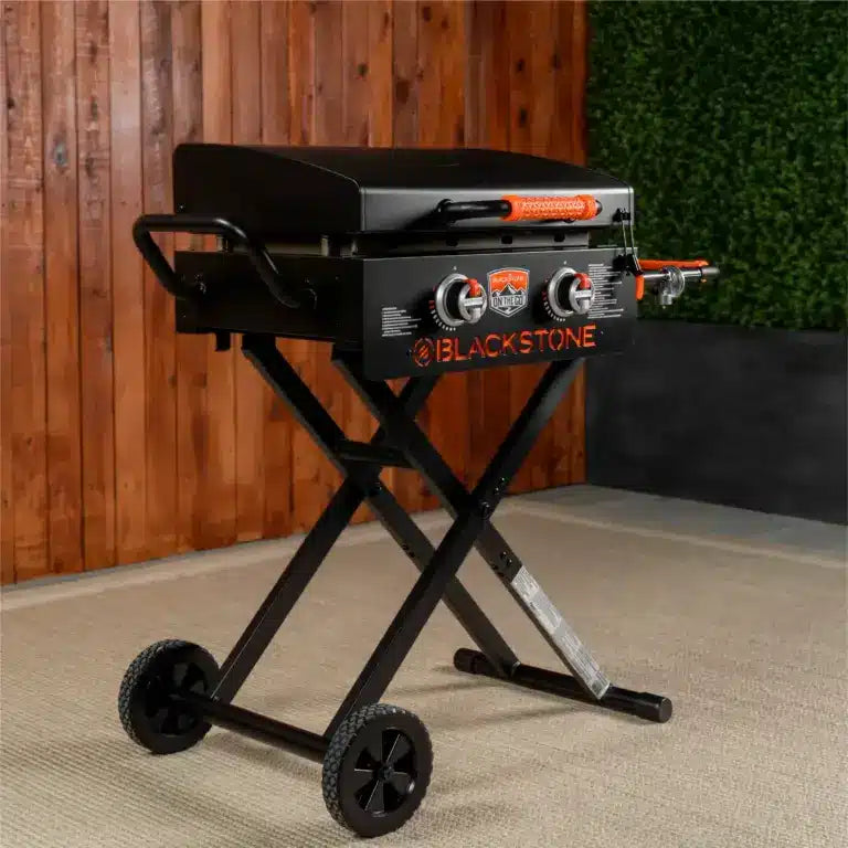 Plancha a gas On the go 22″