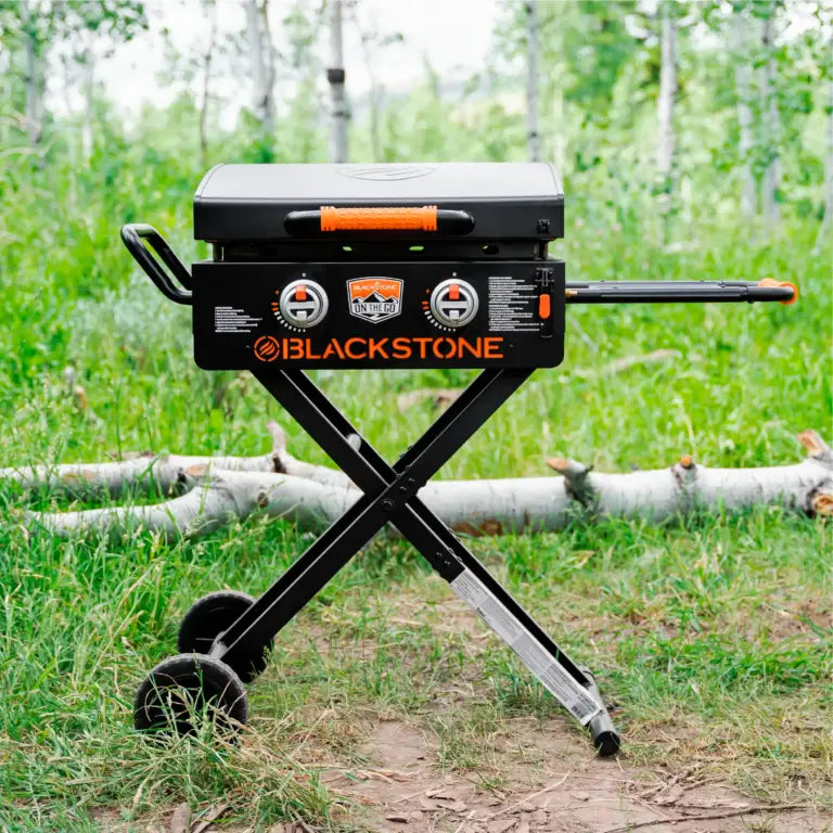 Plancha a gas On the go 22″