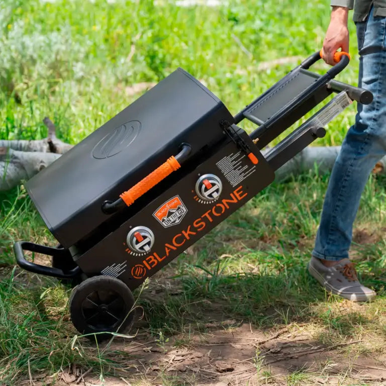 Plancha a gas On the go 22″